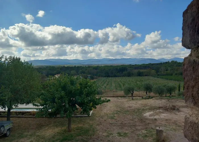 Le Calme Au Milieu Des Vignes