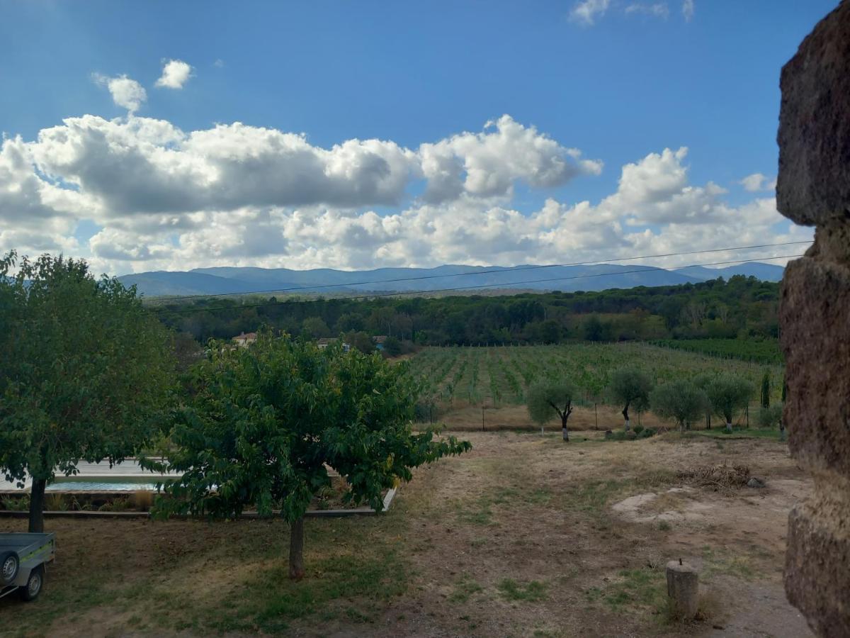 Le Calme Au Milieu Des Vignes